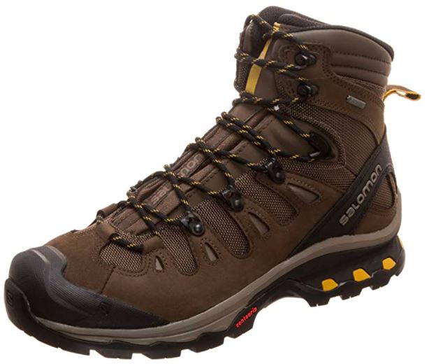 Salomon Men’s Quest 4D 3 GTX Backpacking Boots